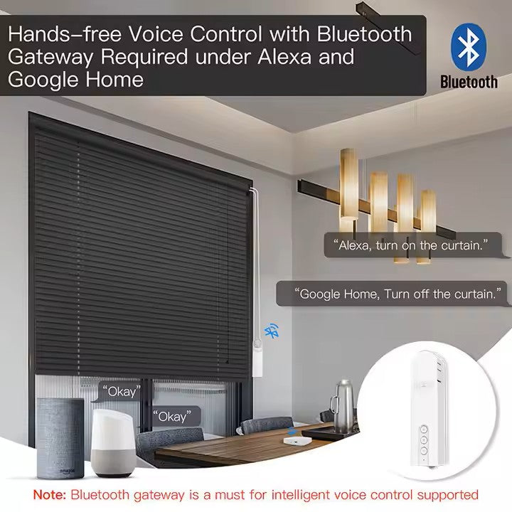 Smart Roller Blinds Motor-Curtain