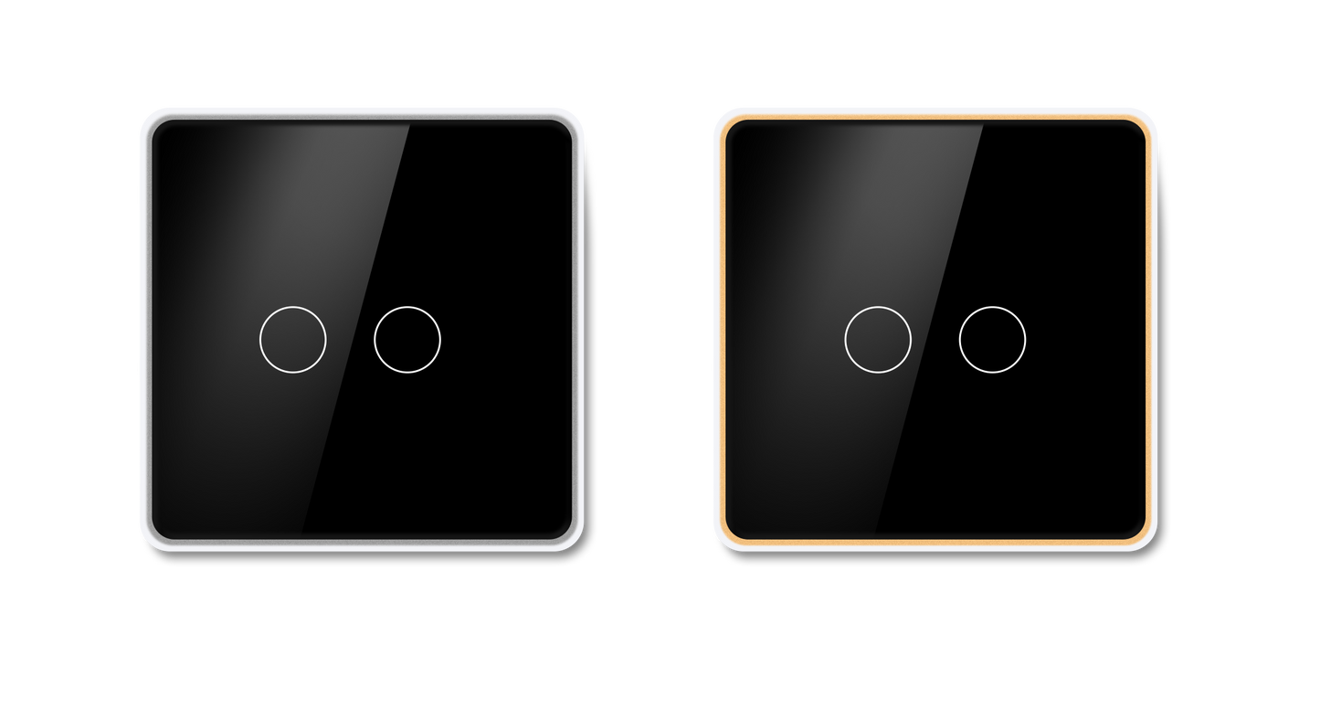 Gold/Silver Frame Switch