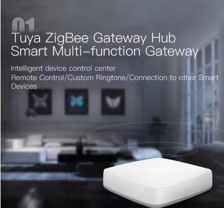 Mini Smart Home Wireless Gateway